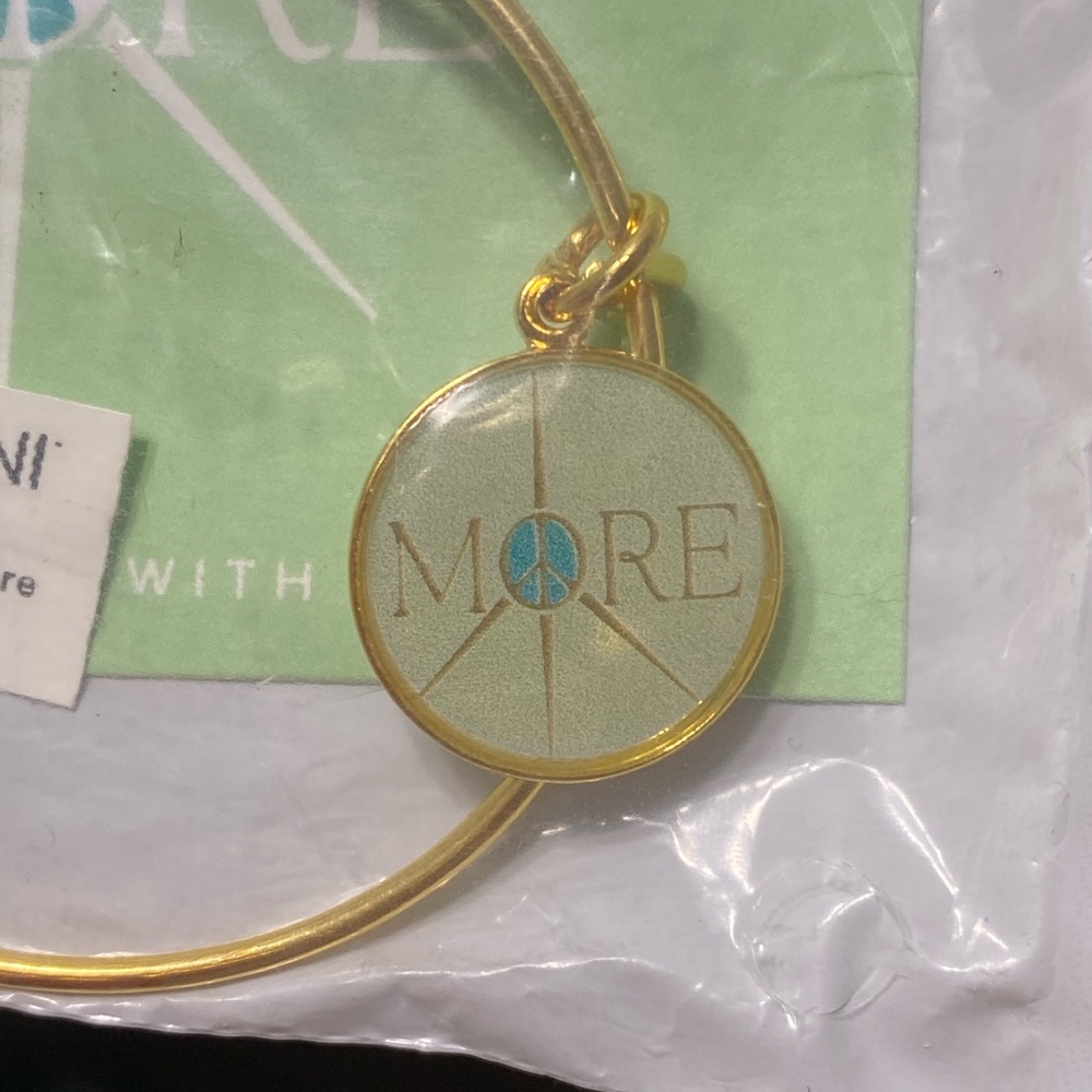 Alex & Ani More Peace new bracelet